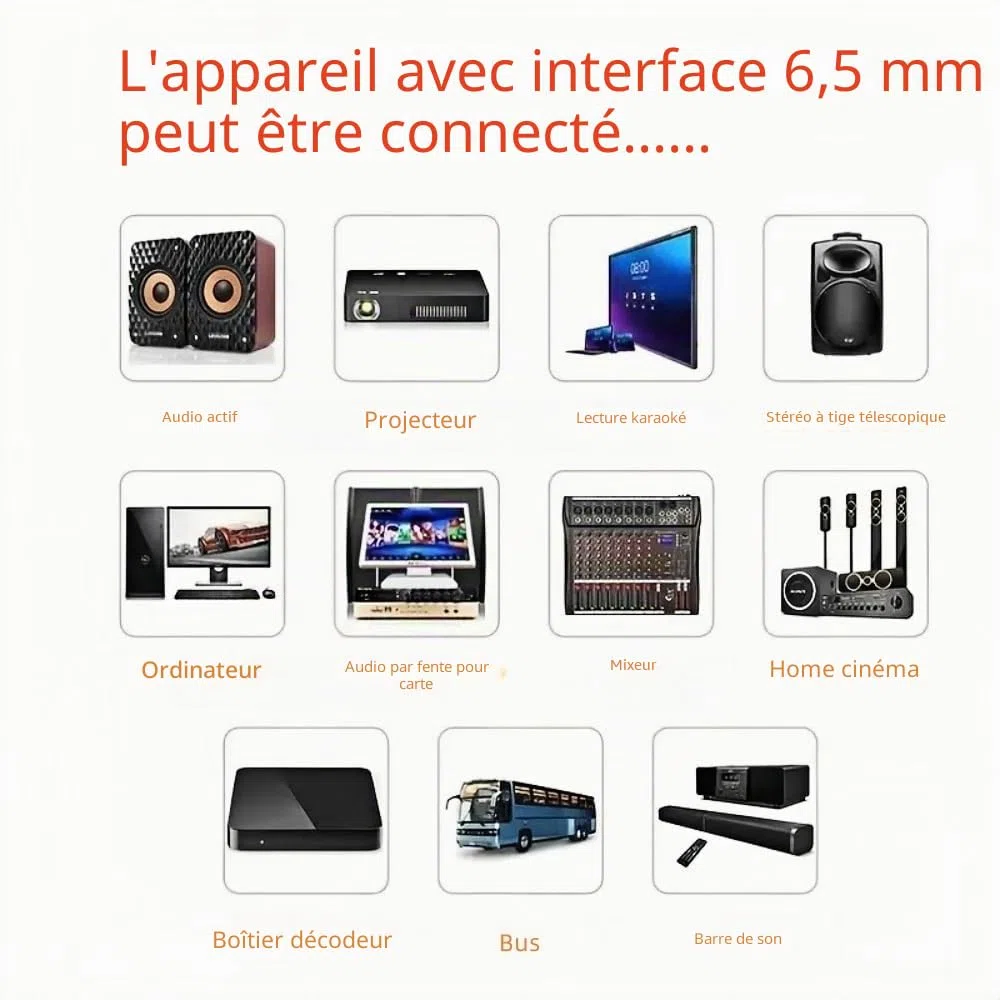 Micro Dynamique Karaoké Microphone à Main Micro Haut Parleur Vocal Dynamique Cardioïde Portable Jack 6,5mm XLR Pour Enfants Adultes Chanter Discours Mariages Activités Band Streaming KTV Podcast Etc
