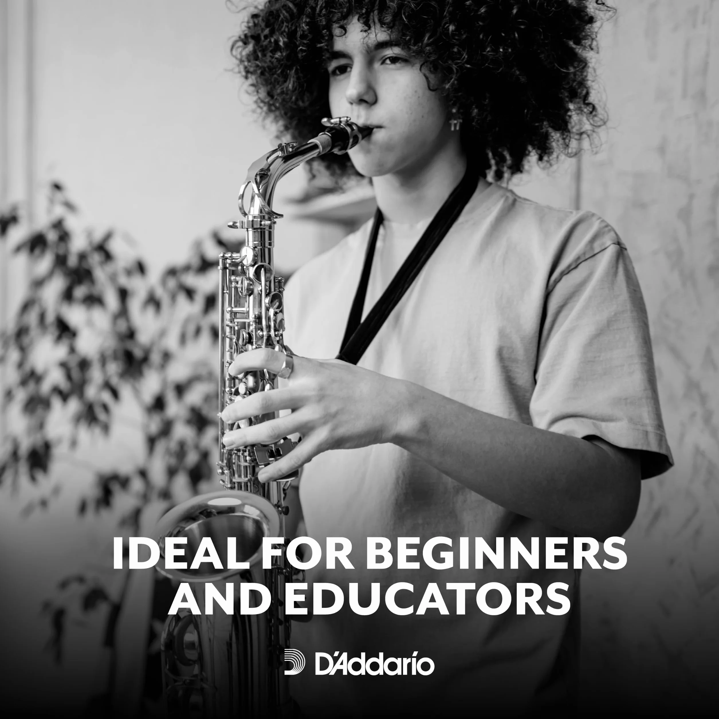 D'Addario Woodwinds 2.0 Alto Sax Reeds 10 Pack