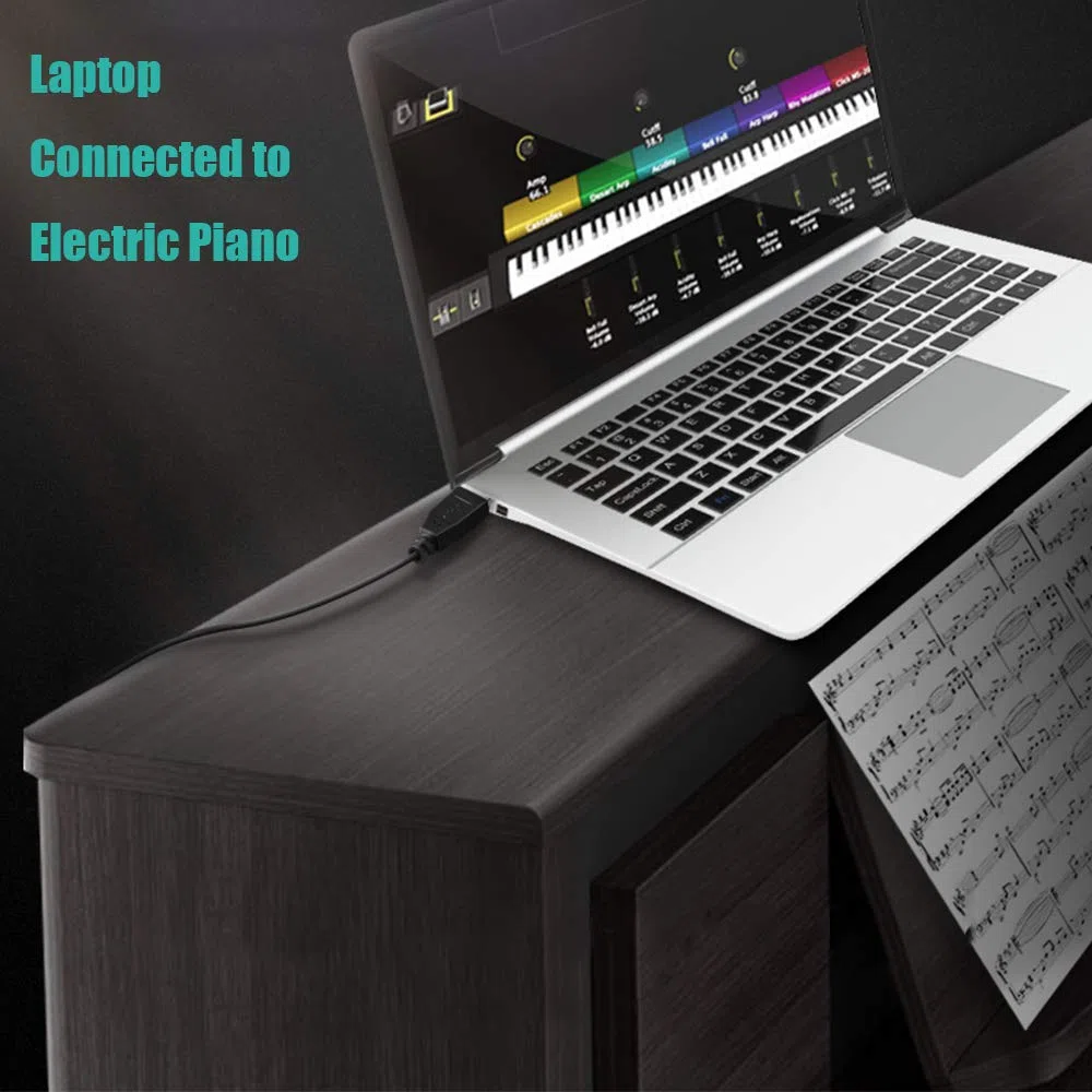Ancable Câble USB A vers USB B 6FT