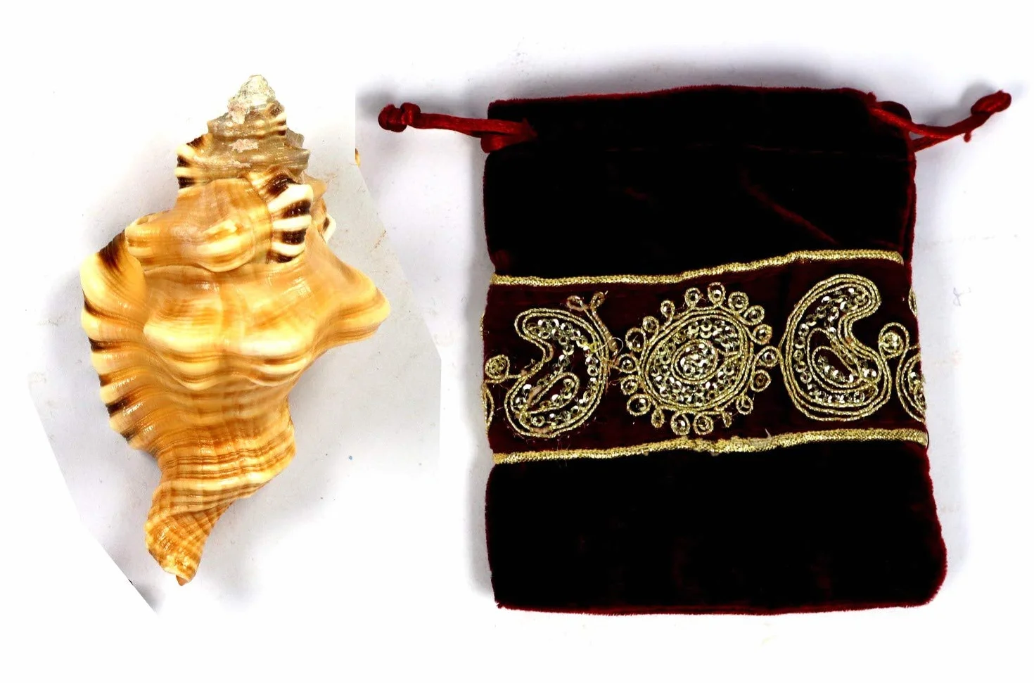 ASHIRWAD Ganesh Shankh Coque de conque pour rituel Puja 7,6 cm
