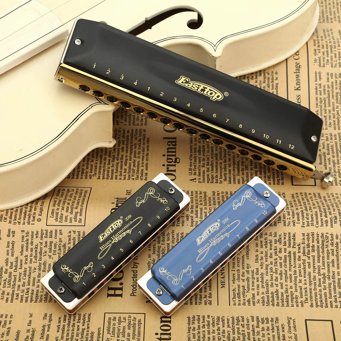 East top Harmonica diatonique en A 10 trous 20 tons T008K avec étui noir