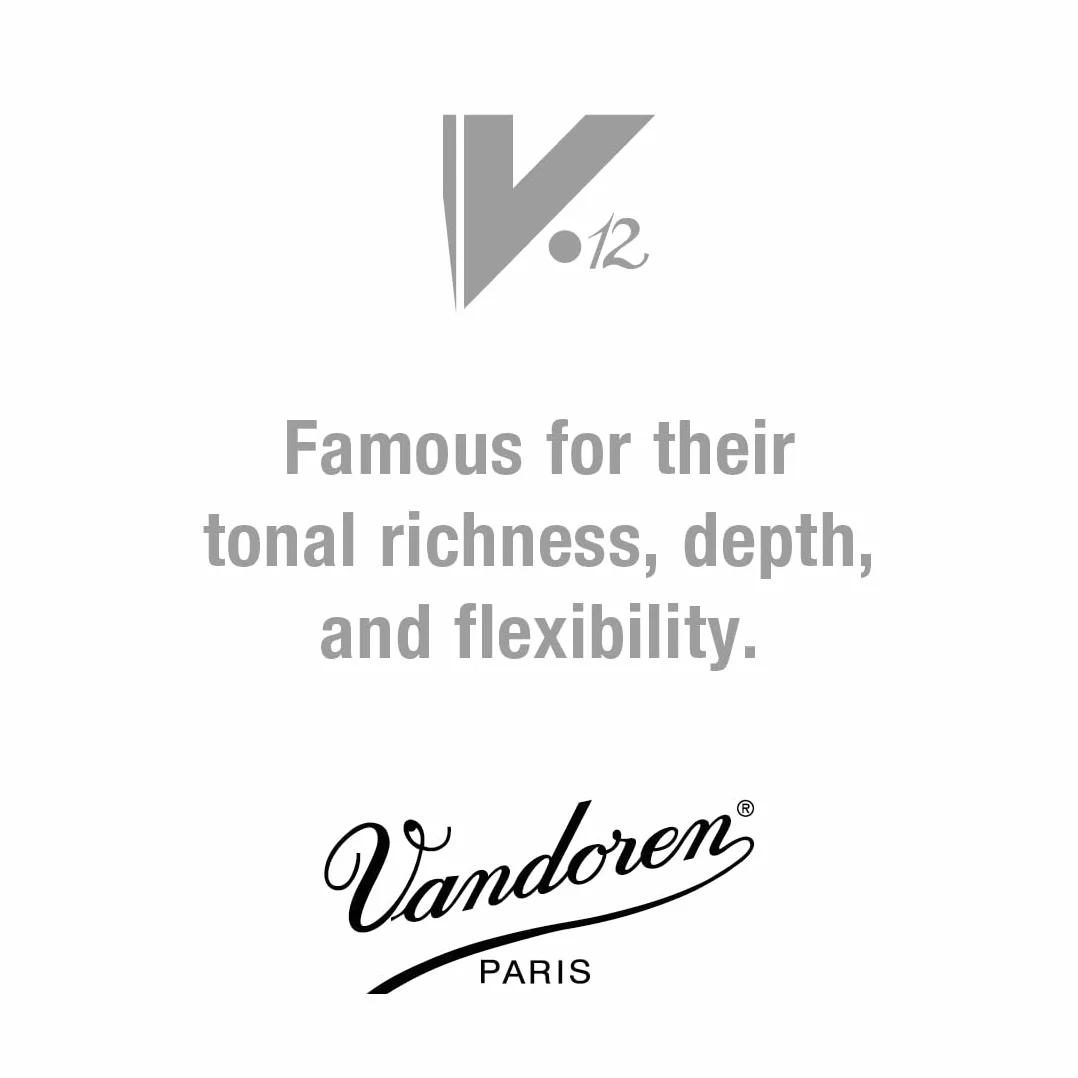 Vandoren clarinette en si bémol V 12 Force 3