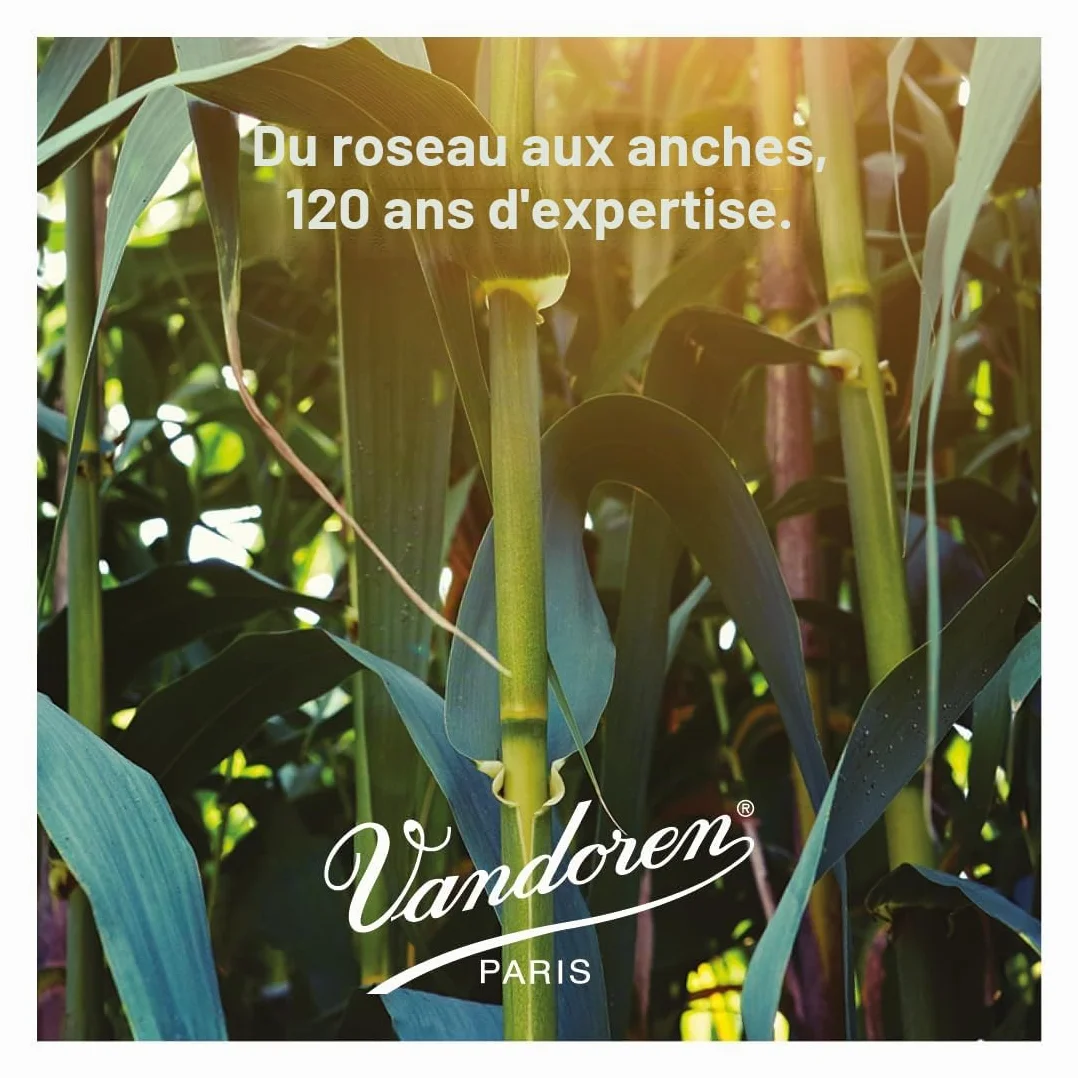 Vandoren CR102 10 Anches pour Clarinette Sib 2 Naturel