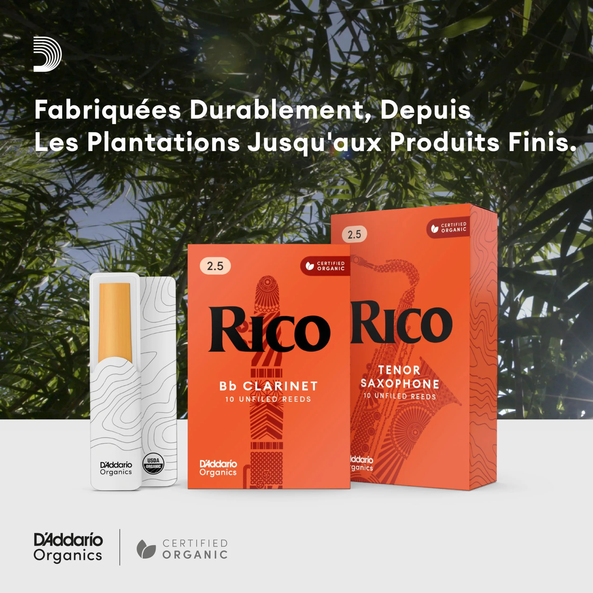 Rico Anches pour saxophone baryton force 2.5 pack de 3