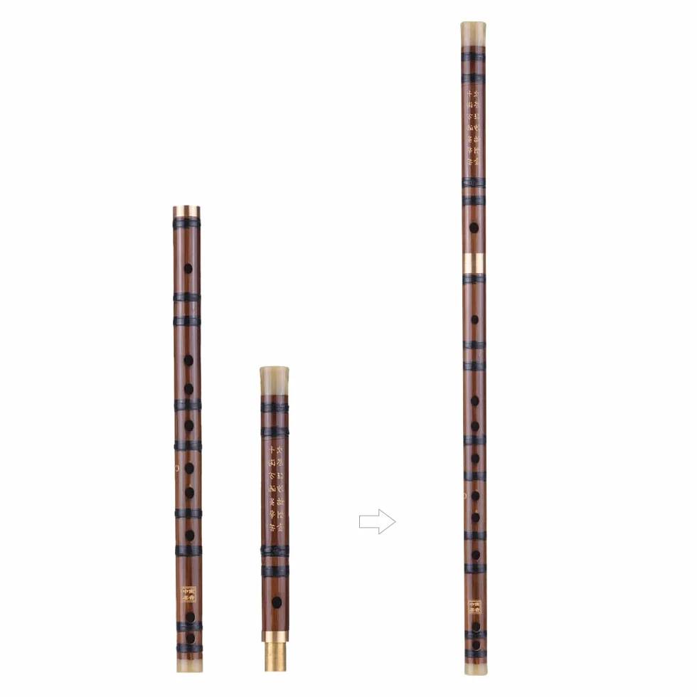 Bambou Flûte Dizi Chinois Traditionnel Instrument à Souffle Professionnel