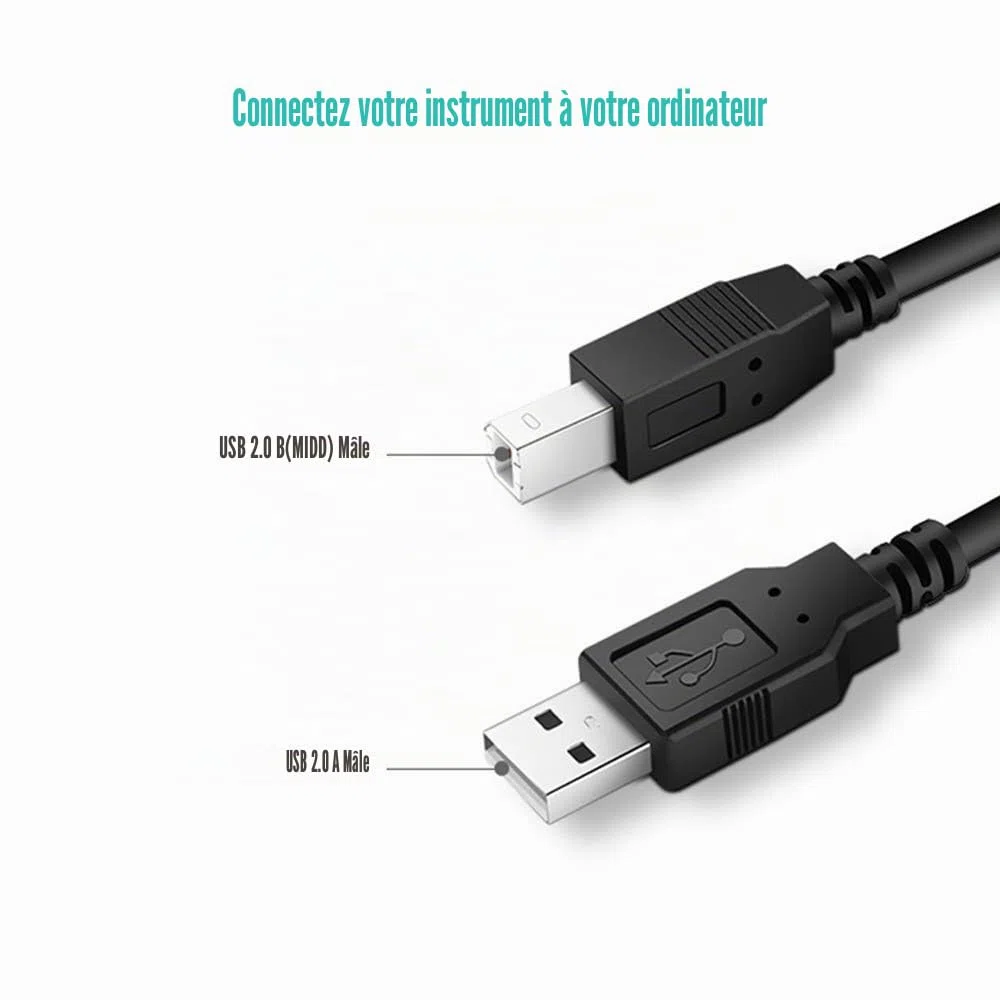 Ancable Câble USB A vers USB B 6FT