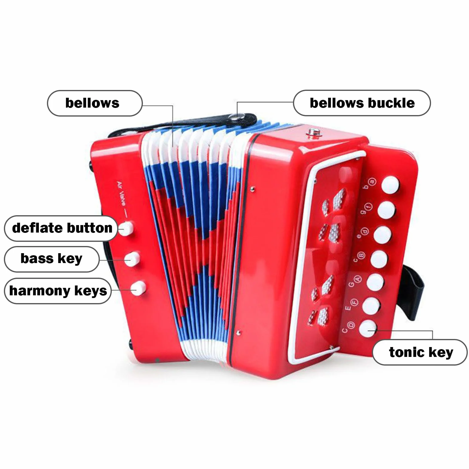 Accordéon Enfant 7 Touches Bouton Instrument Lumières Jouet Débutants