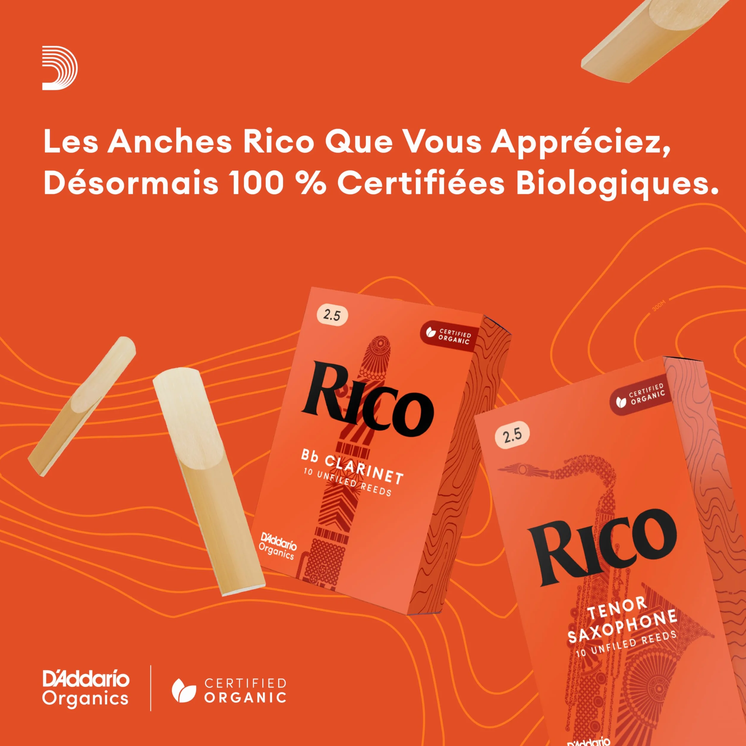 Rico Anches pour saxophone baryton force 2.5 pack de 3