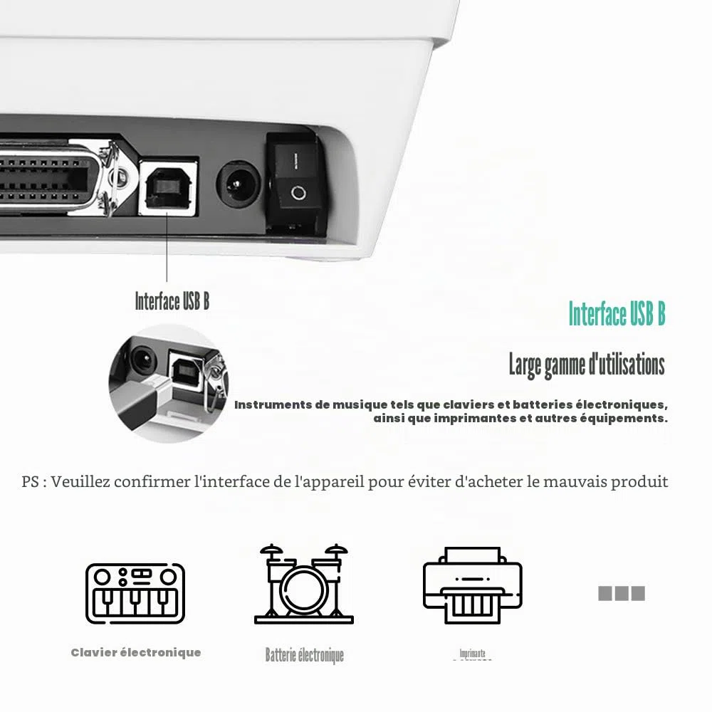 Ancable Câble USB A vers USB B 6FT