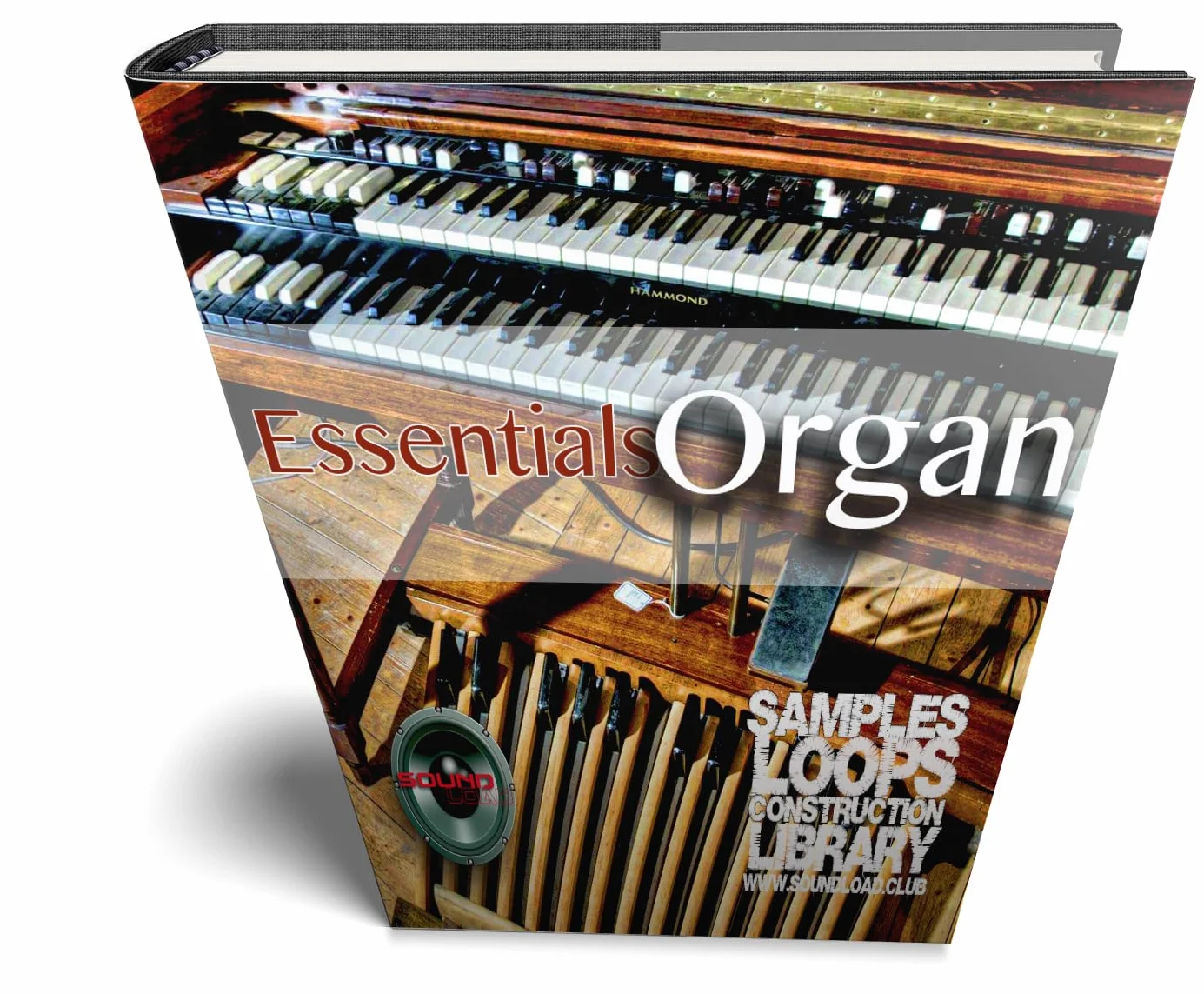 BAND Essentials MEGA Bundle 7 grands échantillons d'ondes essentielles bibliothèques studio en boucle