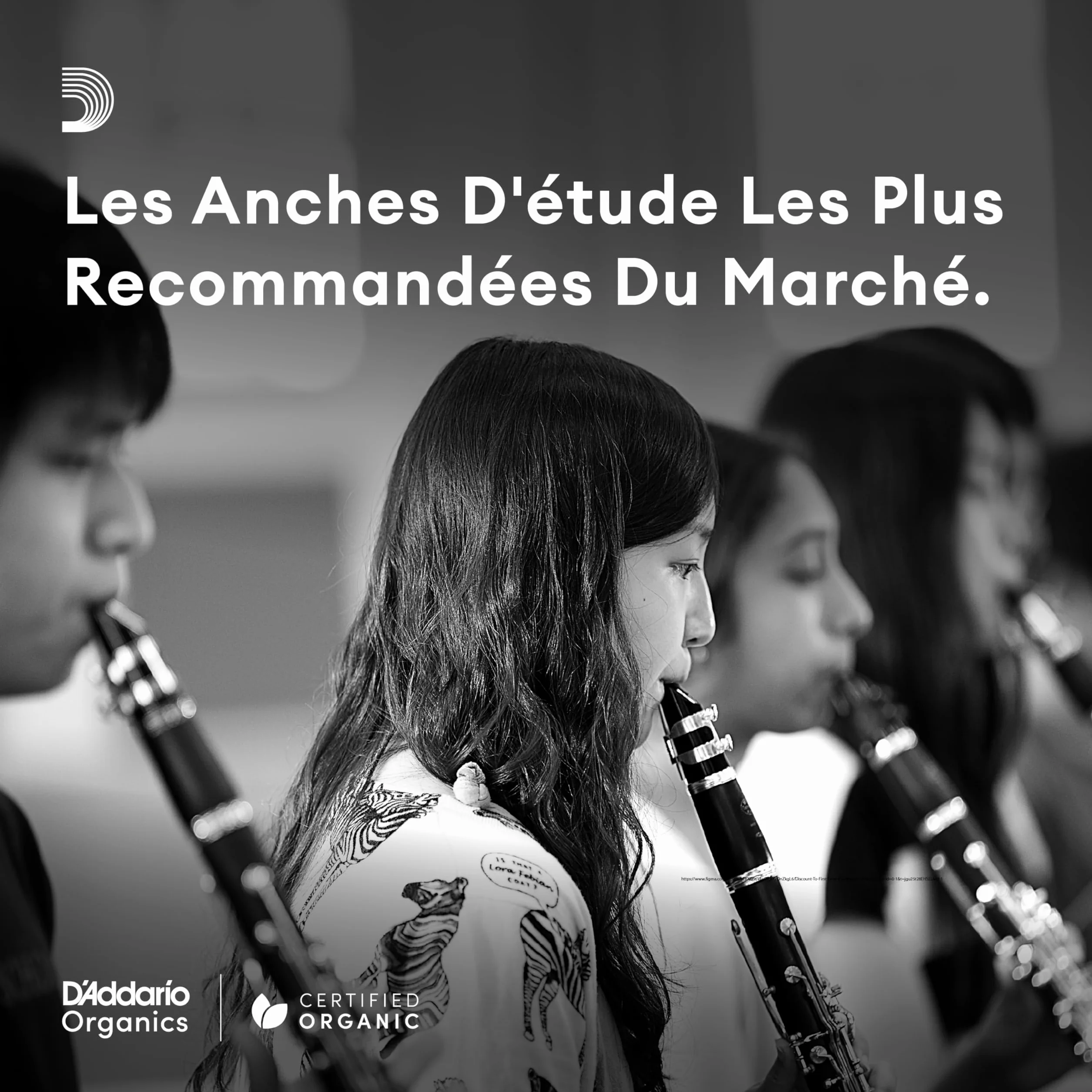 Rico Anches pour saxophone baryton force 2.5 pack de 3